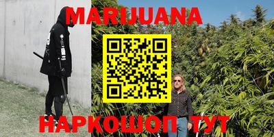 индика Обнинск
