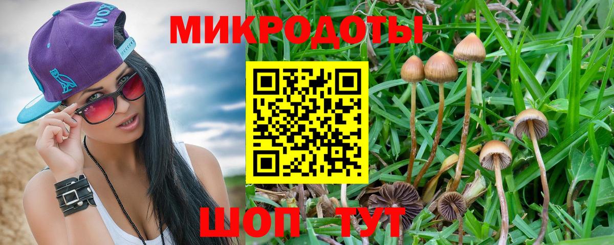Петрозаводск  Псилоцибиновые грибы мицелий  Вход с VPN 