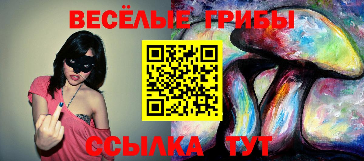 Псилоцибиновые грибы ЛСД Петрозаводск